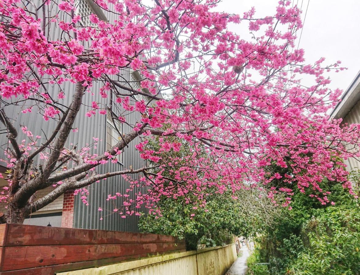 Xinshe Xiao Shu Time Homestay المظهر الخارجي الصورة