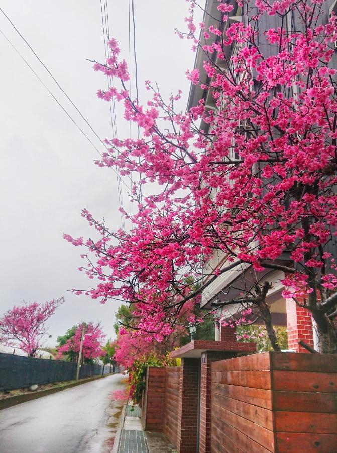 Xinshe Xiao Shu Time Homestay المظهر الخارجي الصورة